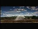 Nutrilite - Plant Tour