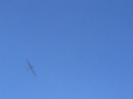 Swift S-1 Swift S-1