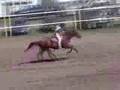 Burns Lake Rodeo