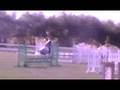 Bantry Bay Dillon Jump off at Amberlea Harvest Show Sept 08