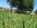 Lunch box in the summer