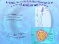 Cellules, ADN et unité du vivant I)B) Cellules, ADN et unité du vivant I)B)