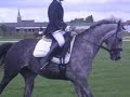 Magic proeven