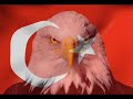 Türk Ordusu ( Son operasyon )