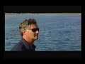 Matt Damon narrates story of dolphin slaughter in Japan