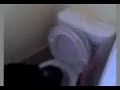 flushing head down toilet