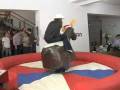 videos de Poe Akers - Wunderman rodeo