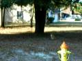 videos de 189 Deerfield pt 2