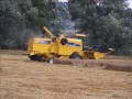 Wspomnienia z wakacji...