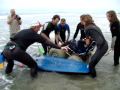 Patrick Ivison Gets Interviewed and Goes Surfing | Huntington Beach Surf Dog Contest