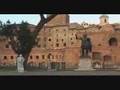 Tortue d'Europe (1)Roma