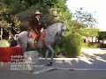 Caballos Bailadores/Dancing Horses
