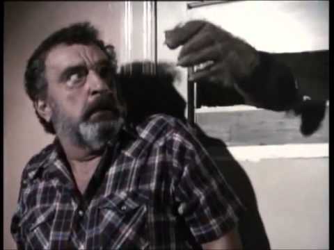 Michael Landon Werewolf