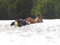 White Heaven Beach @ Whitsunday Islands White Heaven Beach @ Whitsunday Islands
