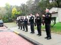 videos de Salute
