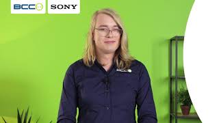 Klik om de video te bekijken