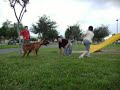 En al parque (2) - Monterrey 2008