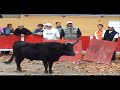 Encierro d\