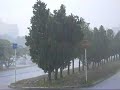 沖縄のスコール