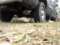 Dodge Cummins Diesel Startup