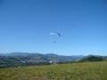 volare da casa
