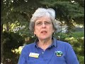 Life on Wheels: Learn about RVing