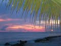 Mr Vegas Ft Jovi Rockwell ~ You gonna Need me ~