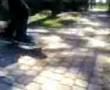 boardslide-buttslide