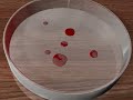 Investigating Evolution: Anti-Biotic Resistant Investigating Evolution: Anti-Biotic Resistant