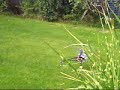 Artech Shark 450 Helicopter pt2 nearly crashed