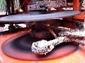 sawmill clunking - bad bearing? sawmill clunking - bad bearing?