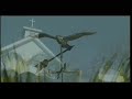 Bahamas Travel Doc - Part 06