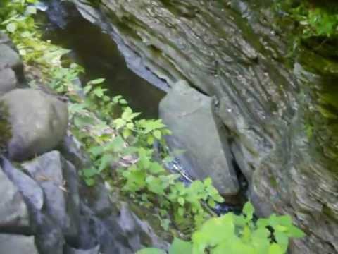 WATKINS GLEN STATE PARK, NEW YORK 019