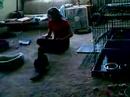 Playing with oreo