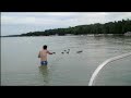 Swimming in Mullett Lake Swimming in Mullett Lake
