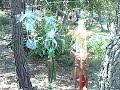 ARTE CON BOTELLAS DE PLASTICO