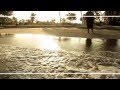 Sammielz Amorously Love Official Music Video and Lyrics
