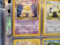 My 370 Lv. X, ex, and Holographic Pokemon Collection Pt. 2