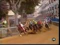 videos de palio asti 2008