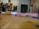 Flip to nosemanual