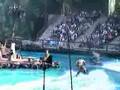 USJ waterworld