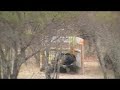 noviciado paintball 18 05 08   parte 1