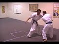 Nihon Goshin Aikido