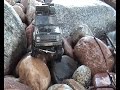 XJ IN KASZEBE  scaleoffroad.de