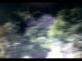 videos de 306 N3 vallespir 