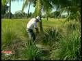 Phil Mickelson Slow Motion Driver Slice DTLCloseUp, Driver UTL Fairway Bunker FUTL Rough