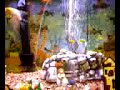 glofish.3g2