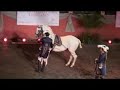 Horseshoe Point Jumping Leaping Lusitano stallions, Thailand