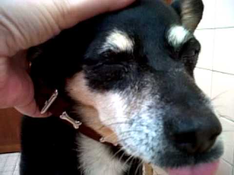 how to treat uveitis