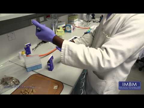 how to isolate soil bacteria